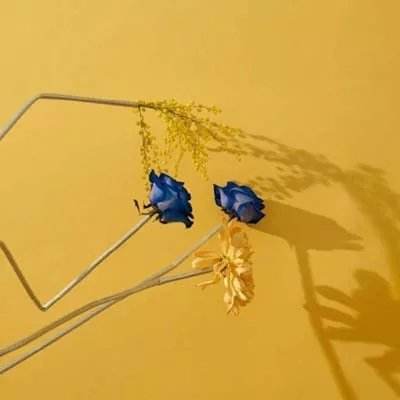 麻将胡了app下载手机版